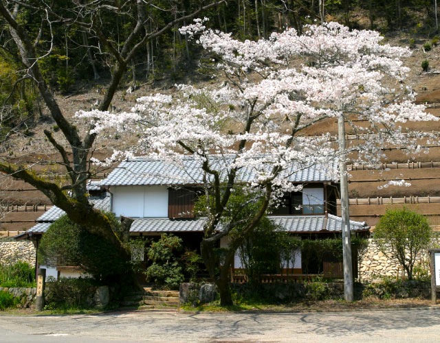 牧水公園